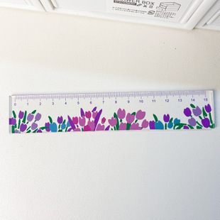 NOTEFOR transparent ruler ns small fresh flower hand-painted measurement student learning supplies with scale 15cm