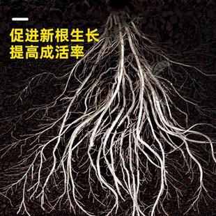 Black Bag Yellow Bag Pure Peat Soil Universal Humus Soil Nutrient Soil Black Soil Planting Flower Soil Planting Soil Flower Soil Humus Leaf Soil