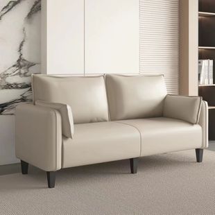 Cat's Claw Leather Sofa Living Room Small Apartment Modern Simple Apartment Light Luxury Bedroom Rental Room Double Three Person Clothing Store