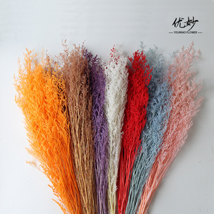 Immortal lover grass dried flowers wholesale real flowers bouquet bleaching eternal flowers diy flower material cross-border decorative dried flower material