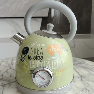 New Big Promotion Decals Paint 304 Stainless Steel Electric Water Kettle with Temperature Display