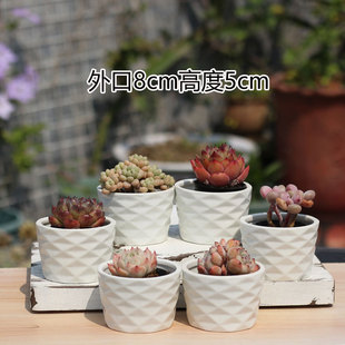 Free Shipping on Thumb-Sized Flower Pots with Kiln-Fired Succulent Maifan Stone, Vintage Large-Mouth Ceramic Set, Breathable Purple Sand, Old Stump Seal Combination