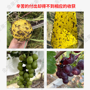 Нетканые пакеты для фруктов, устойчивые к насекомым, пыленепроницаемые, дышащие, полупрозрачные, самостоятельно связанные, универсальные пакеты для дыни и фруктов