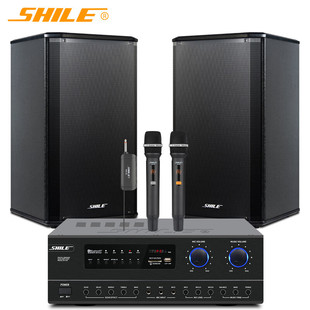 Lion Music Conference Room Audio Combination Set Wireless Microphone Background Music Training Audio Combination AV108 +108