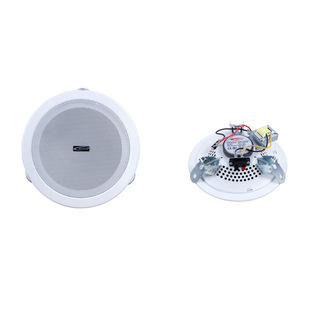 Powerful manufacturer BDXPA ceiling speaker 6W ceiling speaker hotel mall background music ceiling speaker