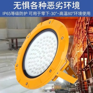 LED explosion-proof lamp gas station flameproof warehouse lighting lamp workshop LED lamp workshop industrial and mining chandelier 100W lampshade