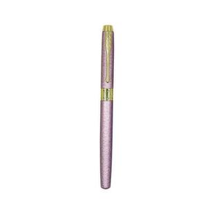 Immortal Pen Zhengzi Primary School Students Third Grade Hard Pen Calligraphing Replaceable Ink Sac Business Gift Metal Pen