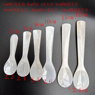 Foreign trade natural shell spoon wholesale caviar spoon coffee spoon seasoning spoon can be labeled packaging