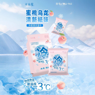 Cold Wet Tissue Paper Super Mini Small Bag Extraction for Summer Heat Prevention 20 Pieces Ice Cool Wet Tissue Disposable Sports Towel