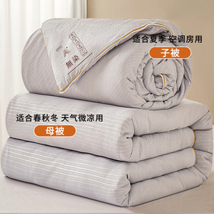 Soybean fiber quilt two-in-one quilt winter quilt thickened warm quilt student dormitory spring and autumn quilt core wholesale