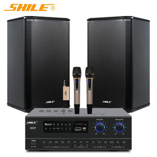 Lion Music conference room audio combination suit wireless microphone background music training audio combination AV108 +108