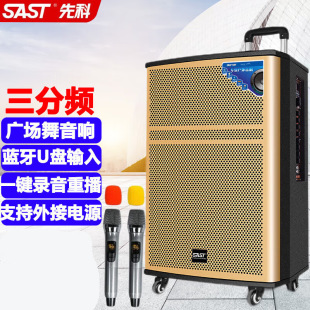 SAST WD-15 Quanta Dance Audio Открытый динамик 15-дюймовый мобильный рычаг высокой мощности Bluetooth