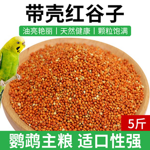 Parrot Bird Food Feed Shelled Red Millet 2.5kg Winter Bird Food Tiger Skin Peony Bird Black Wind Parrot Special Food