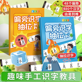 Radoid Literacy Draw Card Children 3-6 Years Old Baby Early Education Enlightenment Kindergarten Pictographic Reading Figure Recognition Memory Card
