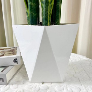 Large Phnom Penh Tiger Orchid Silver Wheat Tiger Tail Orchid Indoor Formaldehyde Absorbing Air Purifying Living Room Green Plants Potted Florals
