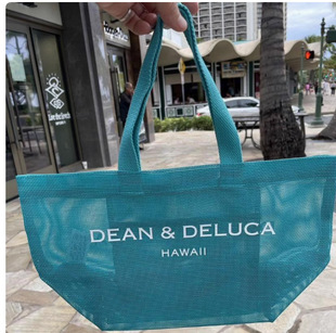 New Dean & Deluca Mesh Beach Bag Transparent Handbag Portable Women's Bag DD Shoulder Shopping Bag