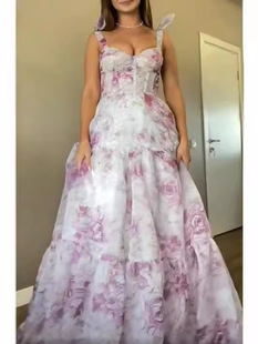 2024 cross-border new off-shoulder European and American women's fashion organza fairy long temperament evening dress dress