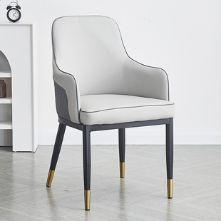 Light Luxury Simple Household Dining Chair Modern Backrest Chair Rest Milk Tea Shop Dessert Shop Cafe Living Room Chair