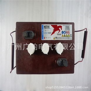 Washing machine Delta-q dedicated intelligent charger QUIQ IC650