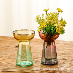 European-style simple creative high-level transparent glass vase hydroponic green plant home decoration living room ornaments