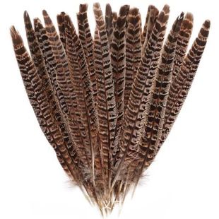 Supply mother pheasant feathers pheasant feathers Peking opera Lingzi film and television drama stage performance supplies multi-size spot