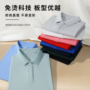 2025 New Lapel Polo Shirt Custom Logo Short-Sleeved T-Shirt Work Clothes Embroidered Custom Cultural Shirt Work Clothes