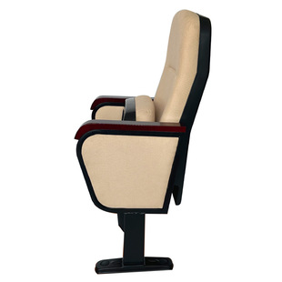 Auditorium chair row chair plastic shell row chair conference chair theater chair studio chair ladder classroom chair studio chair