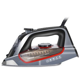 HALEY European standard cross-border hand-held electric iron steam household hand-held hanging iron portable powerful steam