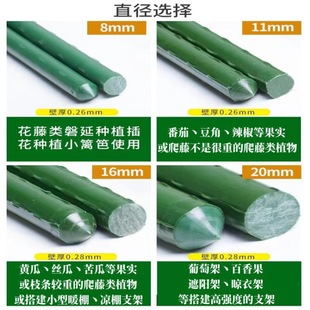 Climbing Rack Flower Rack Plastic-coated Steel Pipe Rose Beans Tomato Cucumber Horticultural Fixed Rod Grape Plant Support Rack