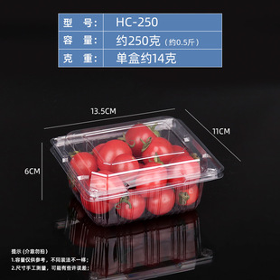 Disposable Fruit Packing Box Thickened Plastic Transparent with Lid One Jin Supermarket Food Fruit and Vegetable Pastry Packaging Box