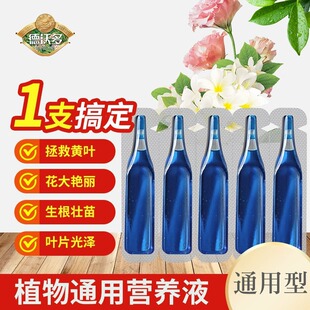 Plant nutrient solution general-purpose indoor potted cultivation of flowers green dill rich bamboo rich tree fleshy flower fertilizer foliar fertilizer