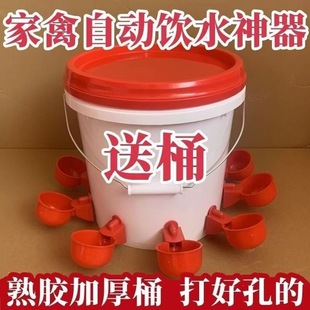 Chicken, duck, goose, poultry, automatic water feeder, breeding bucket, duck, goose, chicken, automatic water dispenser, pigeon, drinking bowl