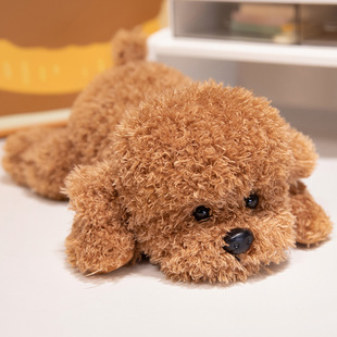 Simulation Cute Teddy Dog Plush Toy Children's Magnetic Lotion Doll Doll Curly Dog Birthday Gift
