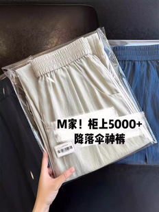 High-end Draping Lazy Yamamoto Style Zen Cool Straight Pants Sun-proof Quick-drying Loose Landing Mountain Pants Women's Summer