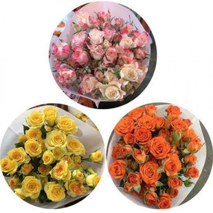 Yunnan rose flower base straight hair rose lily carnation sunflower eustoma flower express daily wholesale