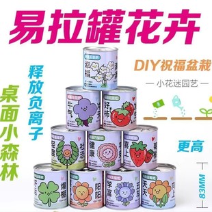 Cute Easy-Pull Can Potted Plant Blind Box Children's Planting Small Gifts Indoor Desktop Mini Green Plant Small Potted Plants Wholesale