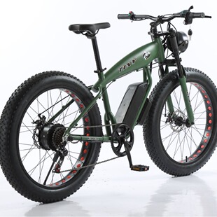 Source factory direct 2024 new hot selling fat tire off-road vehicle shark snow lithium battery assisted bicycle