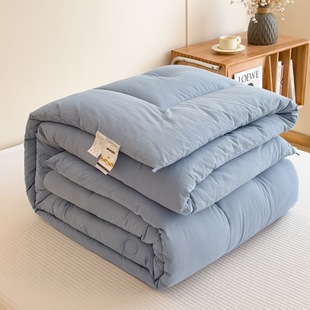 New Unprinted Style Winter Quilt Spring & Fall Quilt Thickeneded Soybean Color Winter Quilt Spring & Fall Quilt Warm Thickeneded Bedding Student Quilt Core