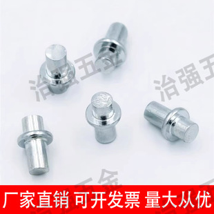 Lower door shaft M5 carbon steel galvanized 304 stainless steel CL225 hinge shaft fixed M4M6 electric box electric cabinet door shaft