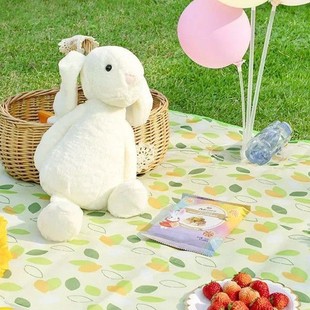 Little red book with thick picnic mat portable outdoor camping mat autumn outing waterproof moisture-proof picnic mat wholesale