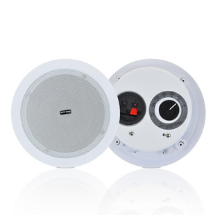 Source factory direct fixed pressure pp basin high sound quality full frequency active wireless ceiling Bluetooth speaker hotel homestay
