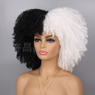 Foreign trade European and American women's explosive Wig African small volume Afro Curly Wig fluffy short Curly hair Wig
