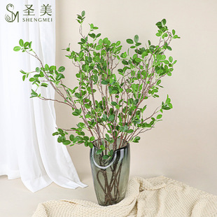 Simulation of Milan Leaf Hand Feel Banyan Tree Leaf Milan Tsai Branch Landscape Home Window Project Simulation of Green Planting