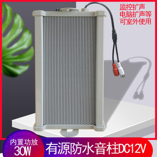 Outdoor waterproof sound column with built-in amplifier camera shouting monitoring voice intercom speaker loudspeaker 30W