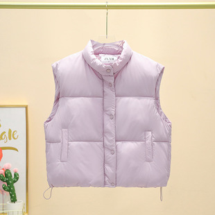 Autumn and Winter New Korean Short Collar Vest Stylisch Loose All-match Vest Cotton-padded Jacket for Foreign Trade
