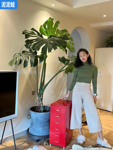 Old pile turtle-backed bamboo shaped potted indoor large plant living room office company purified air balcony Nordic style