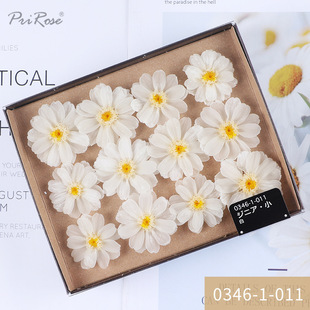 Япония Dadi Farm Маленькая ромашка Zinniae Перманентный цветочный материал для цветов 03461 Серия DIY Цветочный материал Соответствующий материал Zinniae