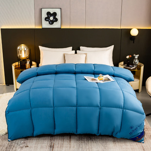 Hilton Hotel Feather Velvet Quilt Wholesale Student Quilt Core Autumn and Winter Thickened Winter Quilt Winter Quilt Gift Quilt