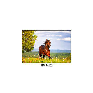 Horse Decorative Painting Living Room Sofa Background Wall Horse to Success Mural Study Office New Chinese Style Atmospheric Hanging Painting