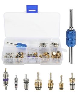 Комплект клапанов 40PCS кондиционера для автомобильных аксессуаров A/C R12 R134a Холодильный ремень инструмент для разборки 310pcs